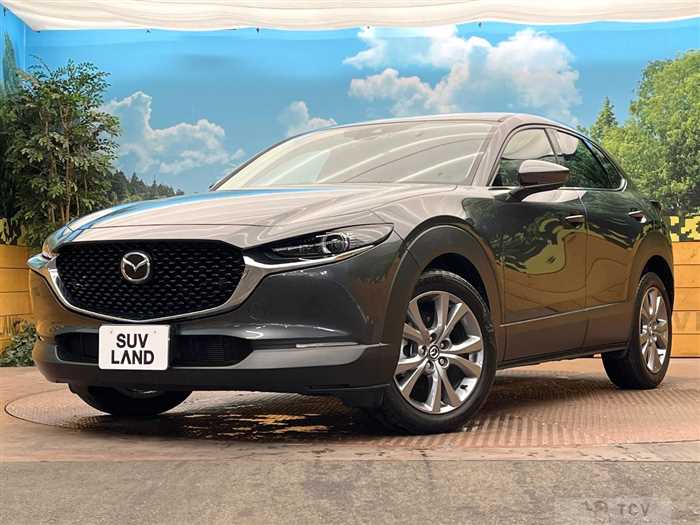 2022 Mazda Mazda Others