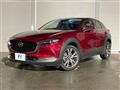 2019 Mazda Mazda Others
