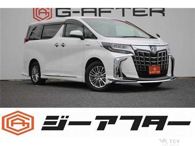 2020 Toyota Alphard G