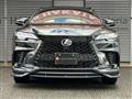 2025 Lexus RX