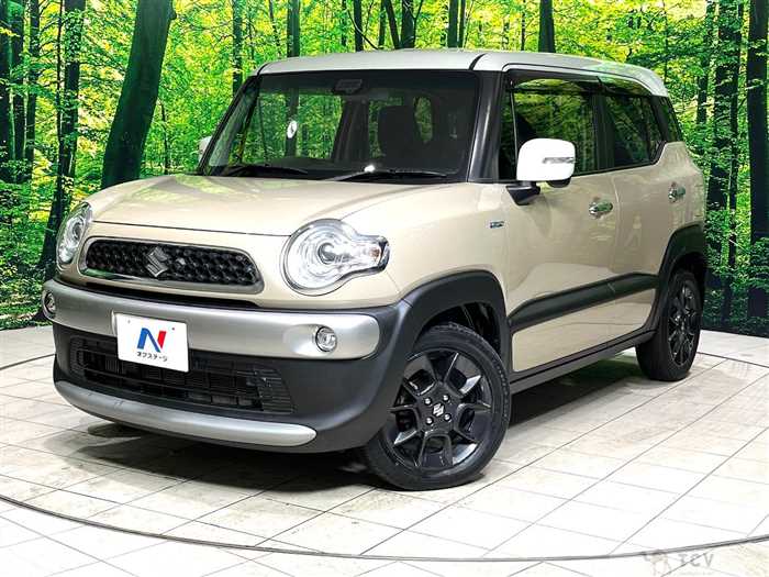 2019 Suzuki Suzuki Others