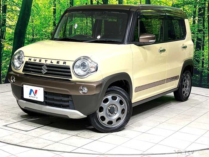 2019 Suzuki Hustler