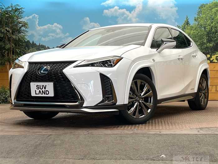 2020 Lexus Other