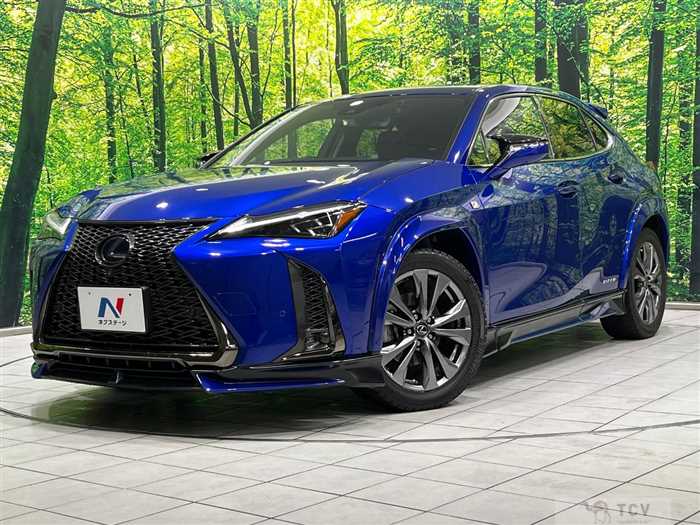 2019 Lexus Other