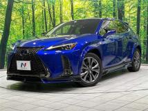 2019 Lexus Other