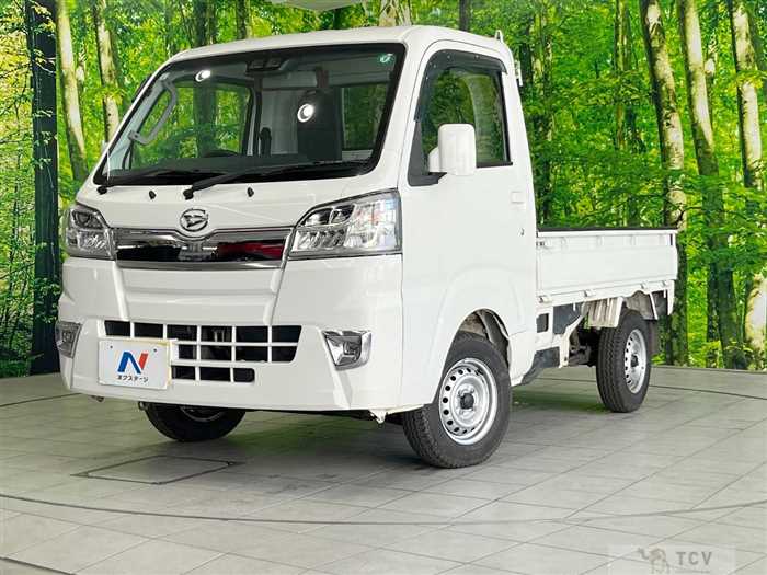 2020 Daihatsu Hijet Truck