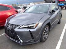 2018 Lexus Other
