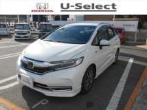 2019 Other All Other All