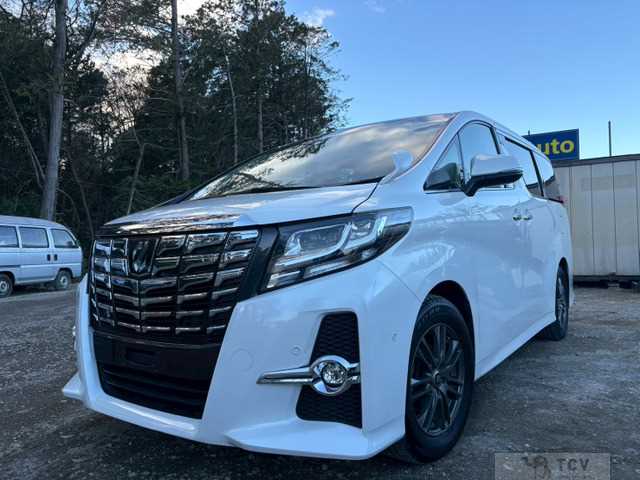 2016 Toyota Alphard G