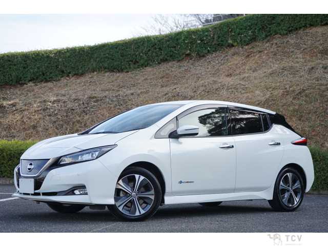 2019 Nissan Nissan Others