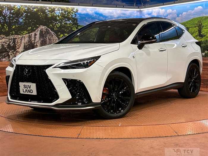 2023 Lexus NX