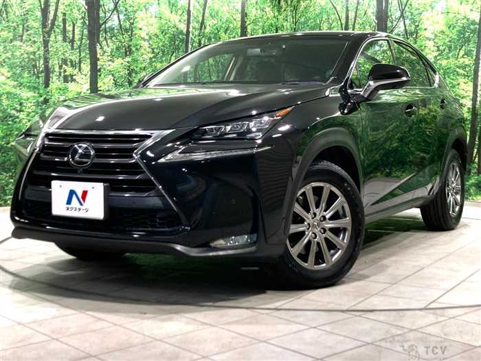 2017 Lexus NX