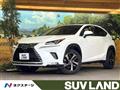 2019 Lexus NX