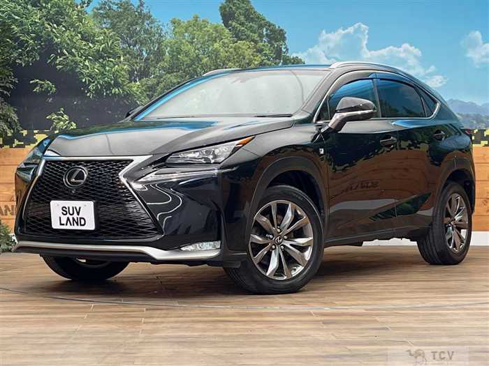 2014 Lexus NX