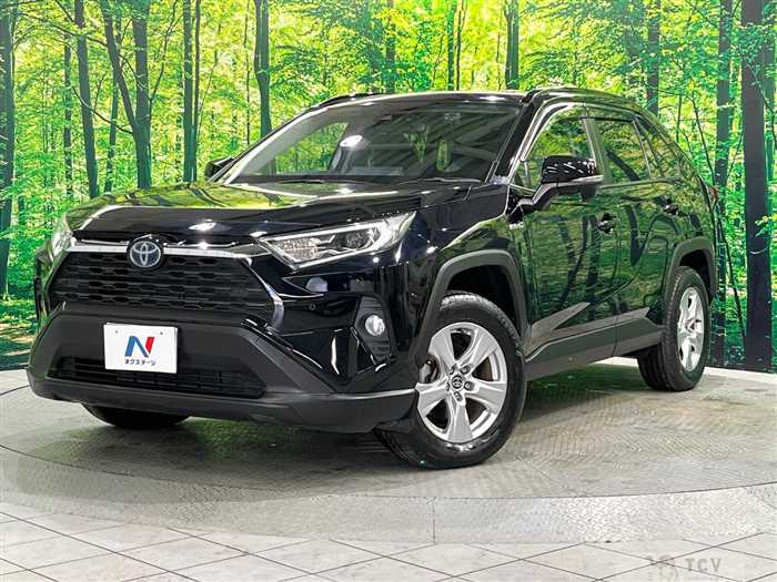 2019 Toyota RAV4