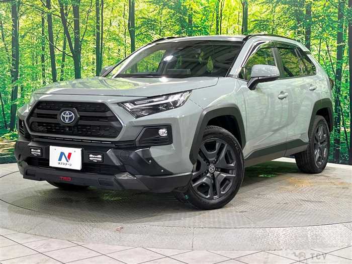 2022 Toyota RAV4