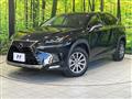 2019 Lexus NX