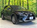 2019 Lexus NX