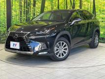 2019 Lexus NX