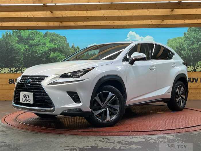 2018 Lexus NX
