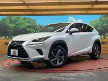 2018 Lexus NX