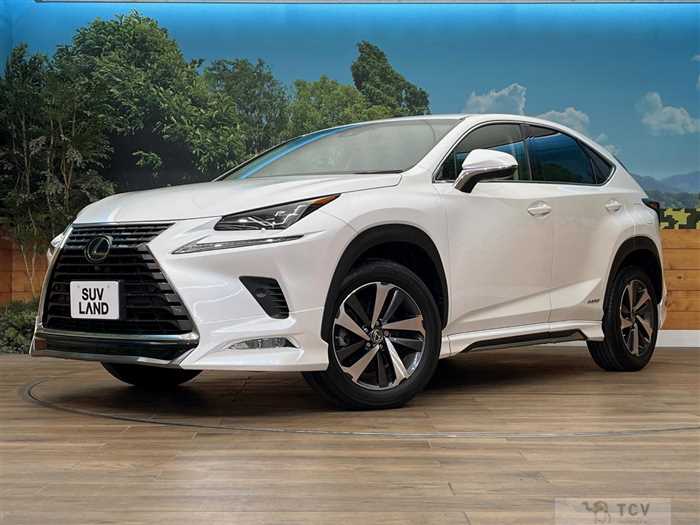 2018 Lexus NX
