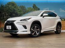 2018 Lexus NX