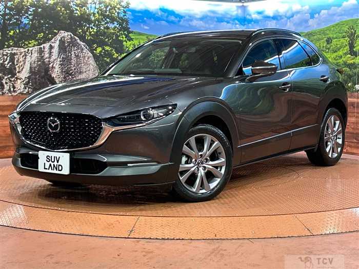 2021 Mazda Mazda Others