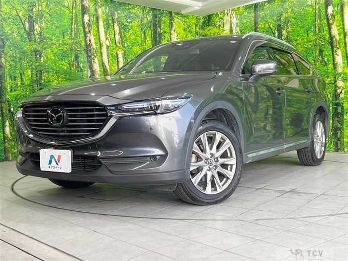 2018 Mazda CX-8
