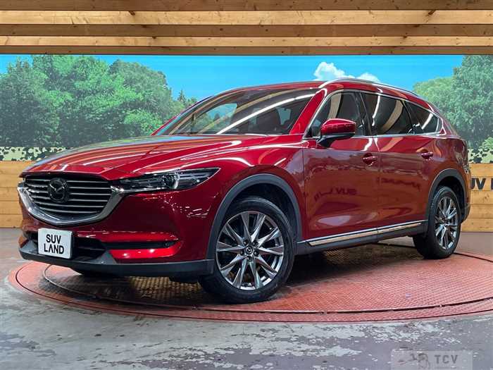 2019 Mazda CX-8