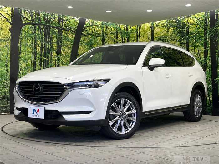 2018 Mazda CX-8