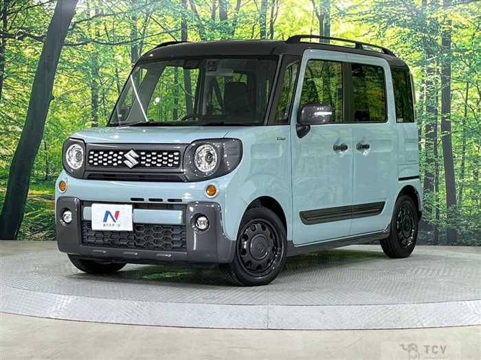 2019 Suzuki Suzuki Others