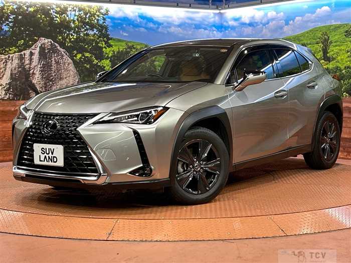 2019 Lexus Other