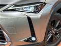 2019 Lexus Other