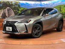 2019 Lexus Other