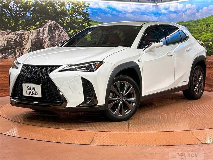 2021 Lexus Other