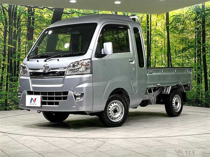 2018 Daihatsu Hijet Truck