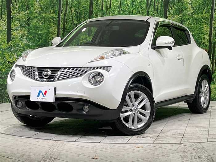 2013 Nissan Juke