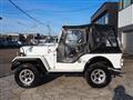 1991 Mitsubishi Jeep