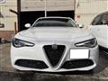 2019 Alfa Romeo Alfa Romeo Others