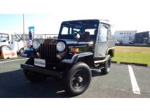 1992 Mitsubishi Jeep