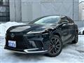 2025 Lexus RX