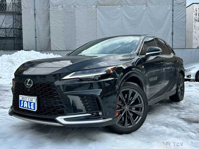 2025 Lexus RX
