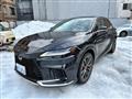 2025 Lexus RX