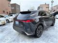 2025 Lexus RX