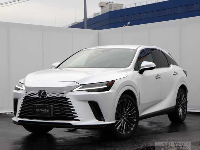 2024 Lexus RX
