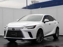 2024 Lexus RX