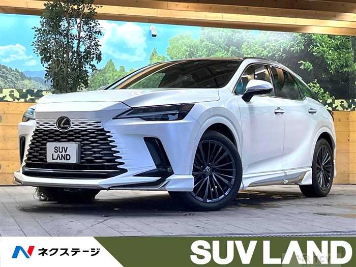 2024 Lexus RX