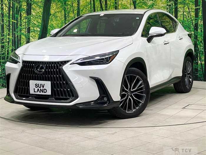 2023 Lexus NX