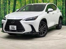 2023 Lexus NX